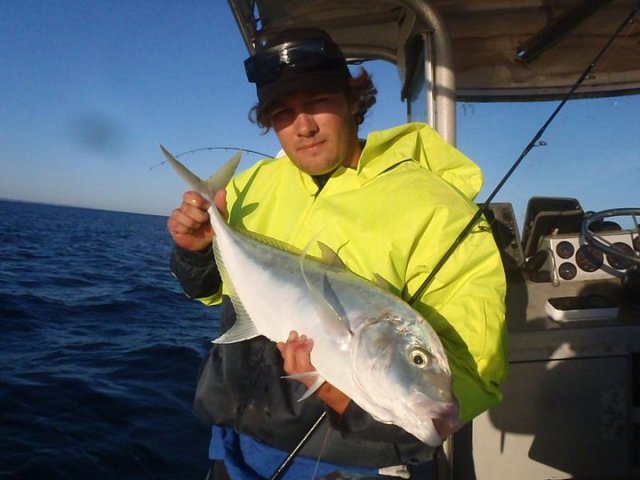 jigged trevally jigged trevally